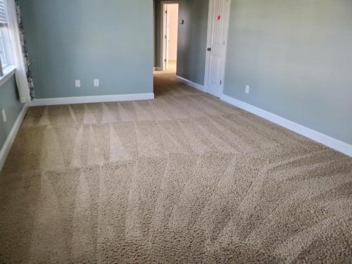 Carpet Cleaning