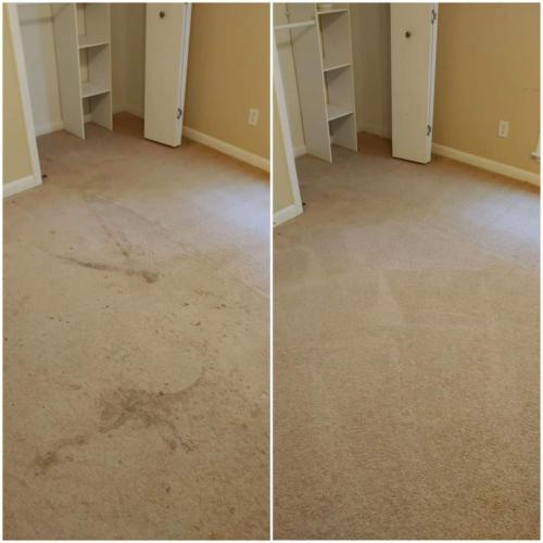 Carpet Stain Removal