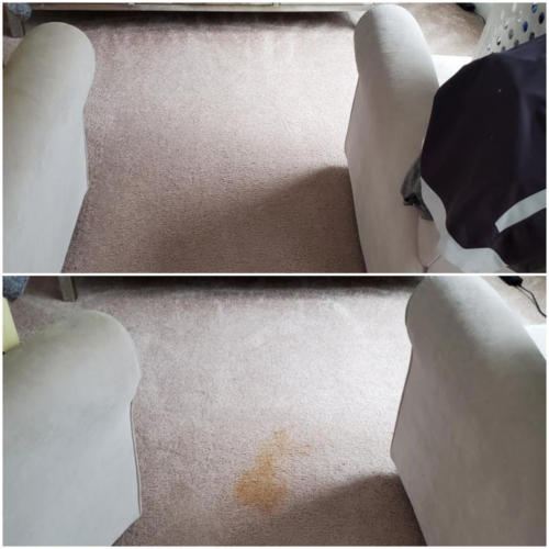 carpet-stain-removal